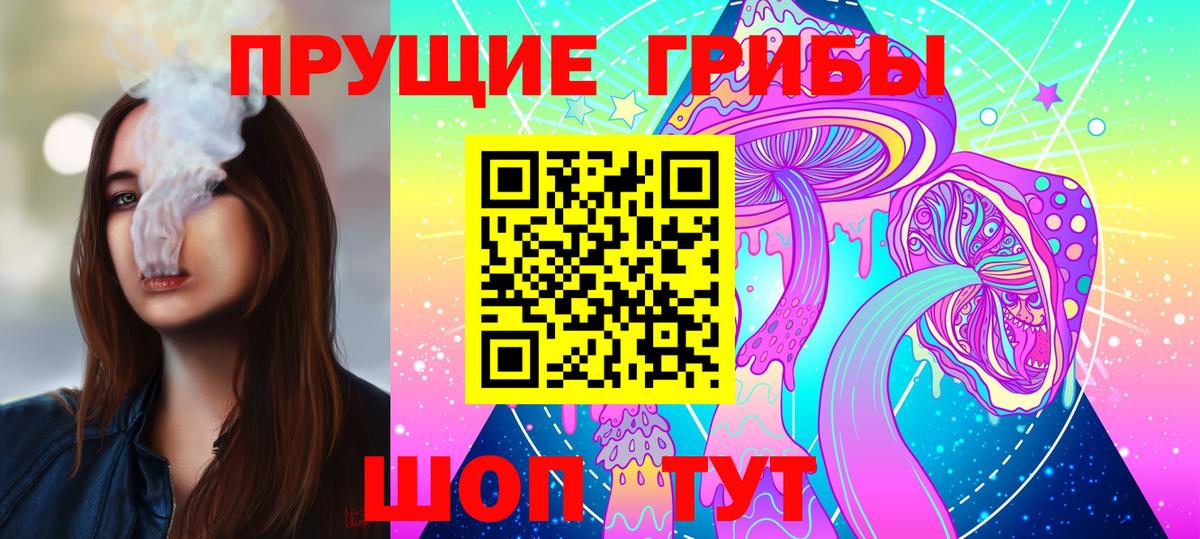 Галлюциногенные грибы Psilocybine cubensis  наркотики  Керчь  Вход с VPN 