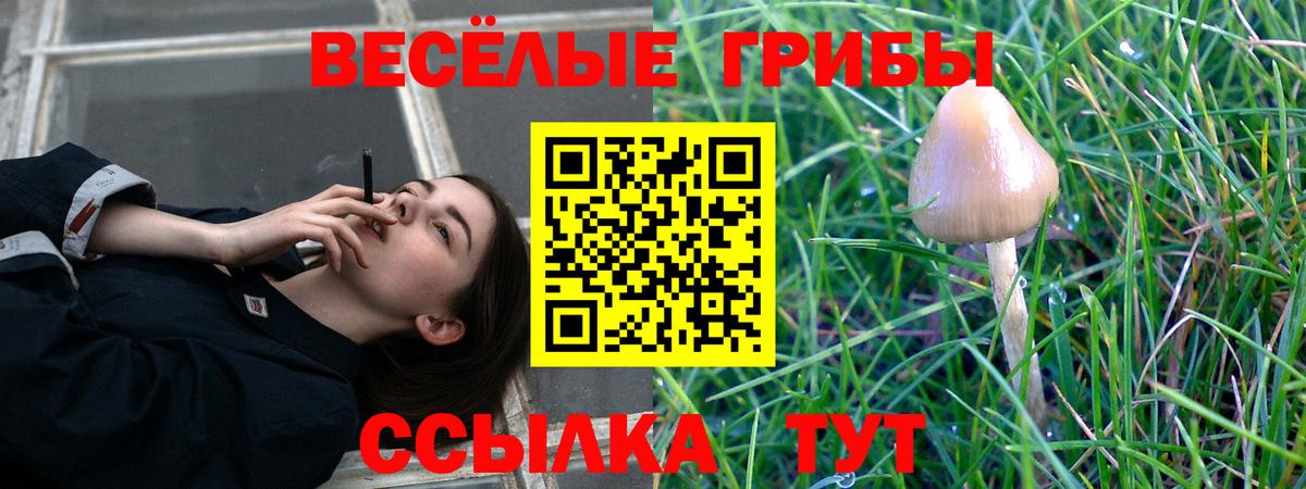 Псилоцибиновые грибы Magic Shrooms Керчь